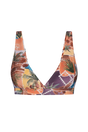 Souvenir Plunge Top